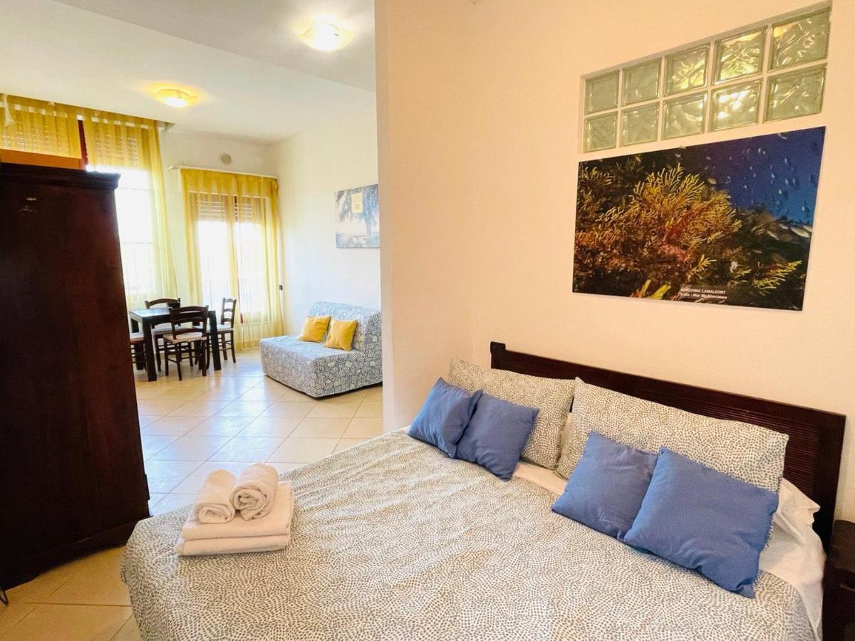 Regina Beach Holiday Apartments Tirrenia Extérieur photo
