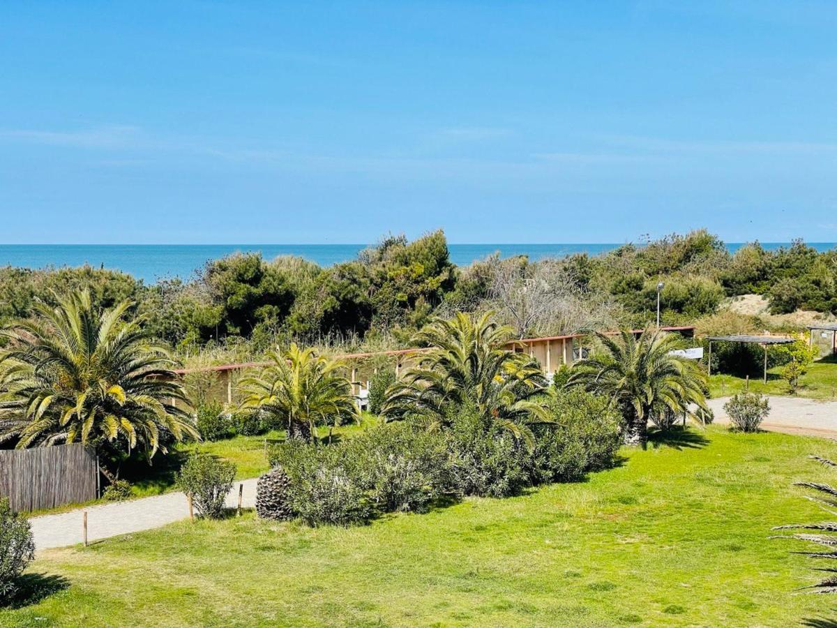 Regina Beach Holiday Apartments Tirrenia Extérieur photo
